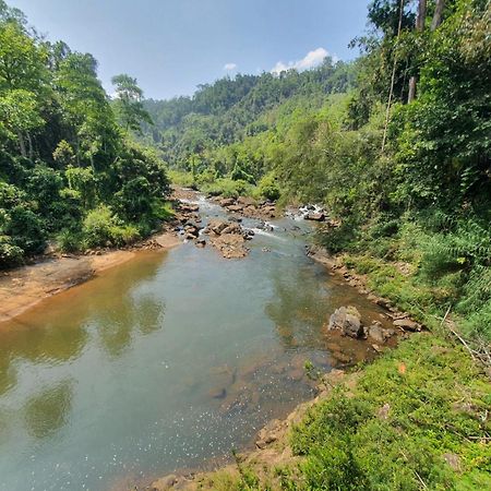 Rainforest River Bay Денияя Екстериор снимка