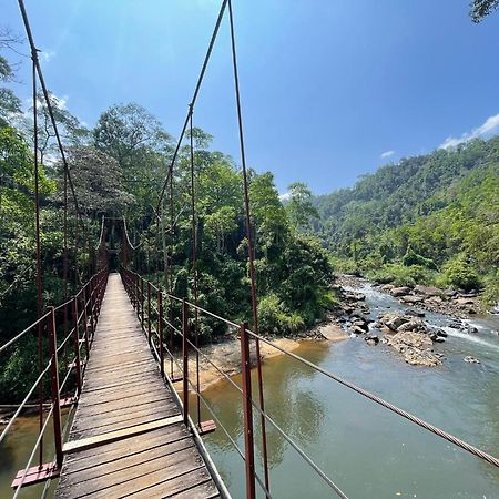 Rainforest River Bay Денияя Екстериор снимка