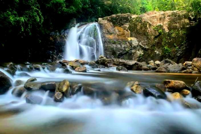 Rainforest River Bay Денияя Екстериор снимка