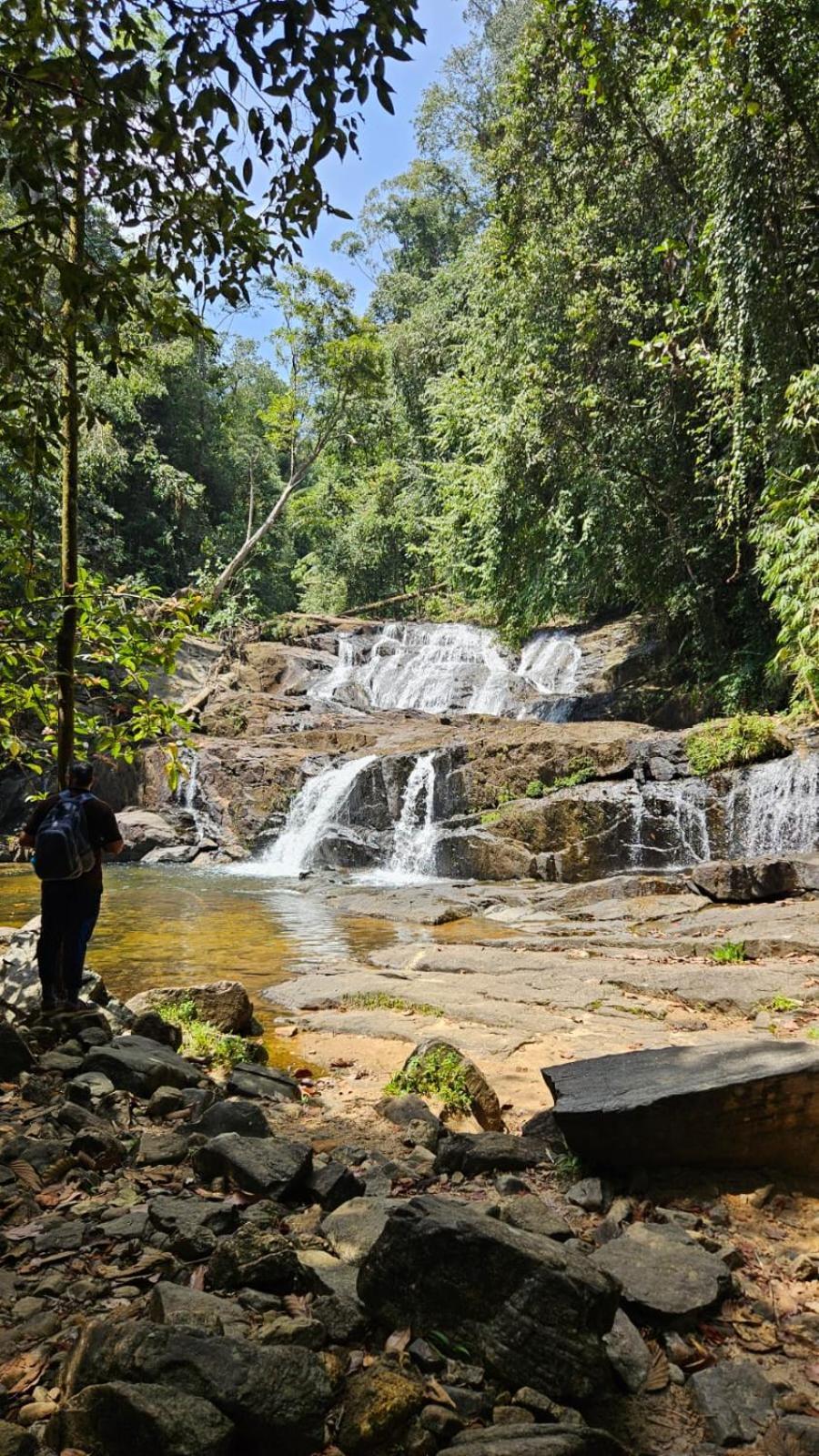 Rainforest River Bay Денияя Екстериор снимка
