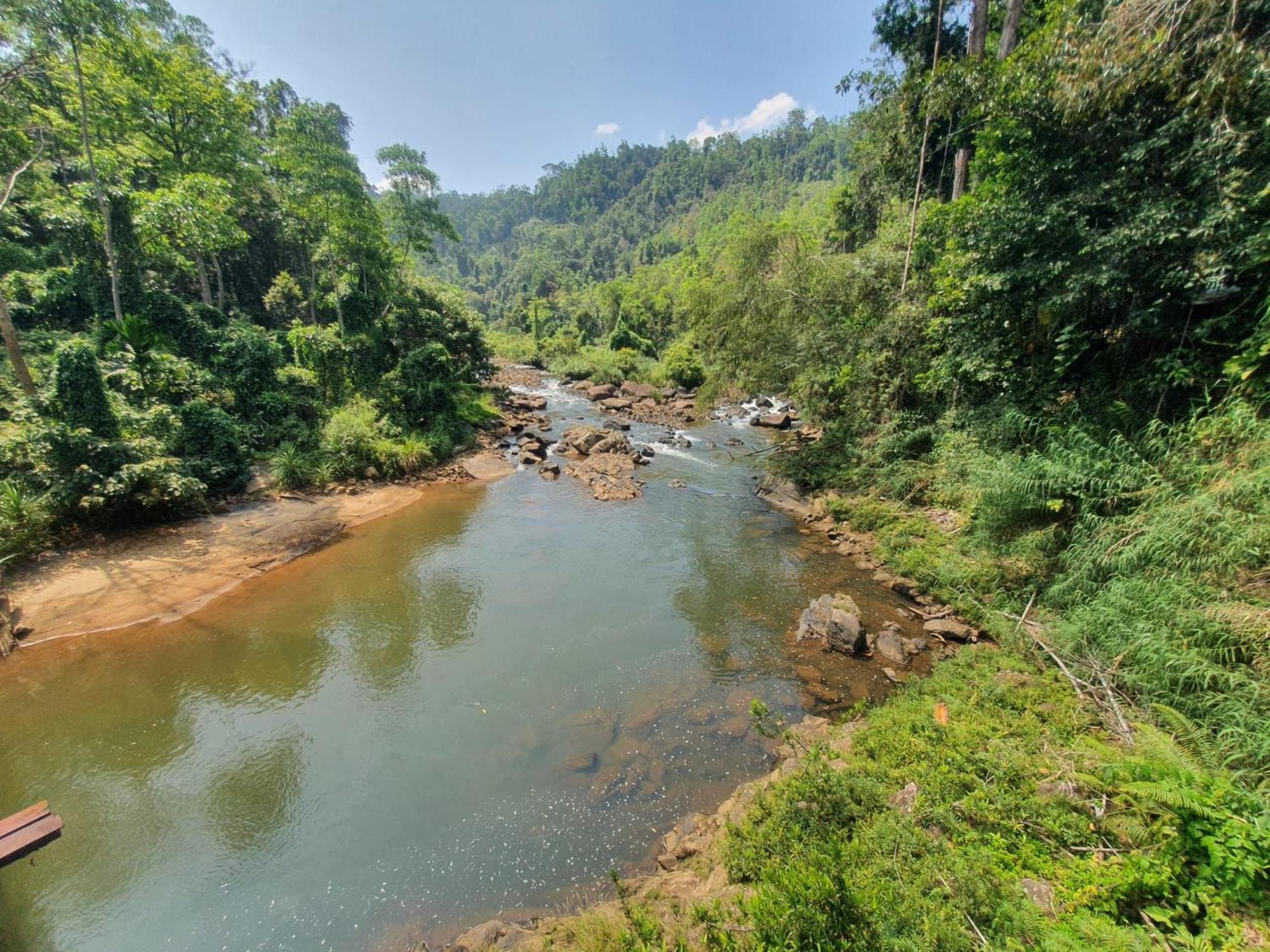 Rainforest River Bay Денияя Екстериор снимка